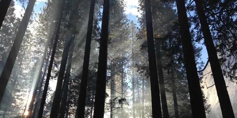 从传统到餐桌：日本恐怖美学如何借都市传说与怪谈文化，在现代电影与游戏中重生
