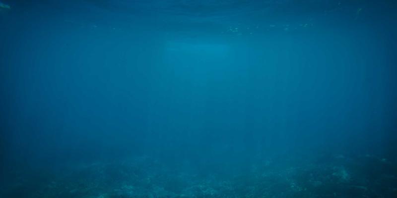 从和风美学到日式生活哲学：解码当代日本社会的文化趋势