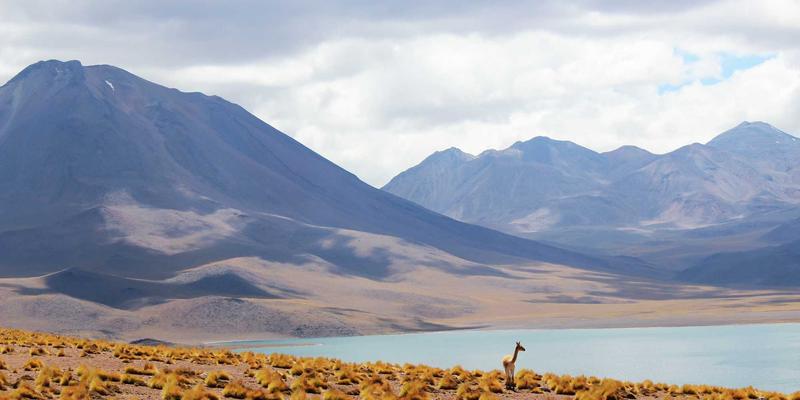从川端康成到村上春树：物哀美学如何塑造日式生活与传统