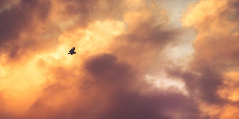 从演歌到虚拟偶像：J-POP演变中的日本美学、美食与生活哲学