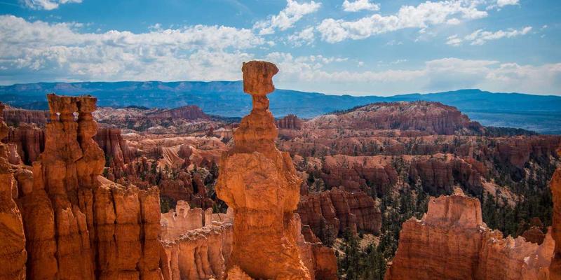 日式生活、社会与传统：探寻日本文化中三位一体的和谐之道