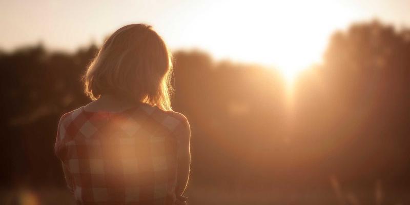 日本庭院文化深度探索：除了枯山水，回游式与茶庭的意境美学