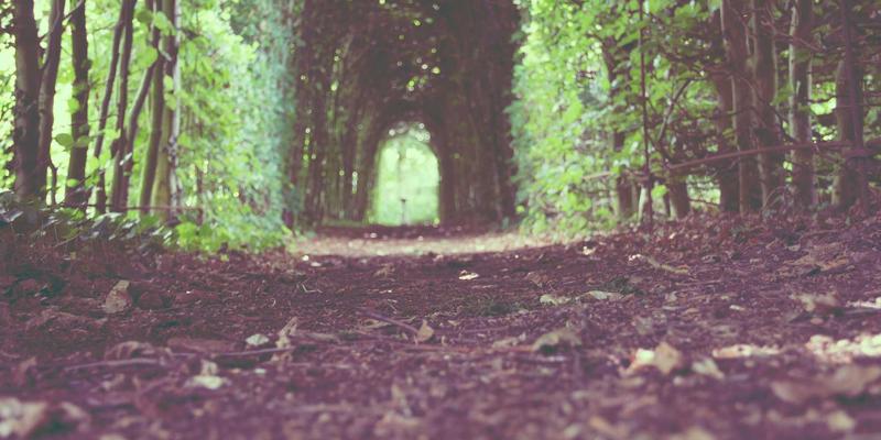 日本文化69：从传统到日常，探寻和风生活的三重维度