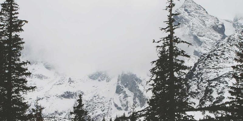 日本文化70：传统美学与社会结构的现代交响