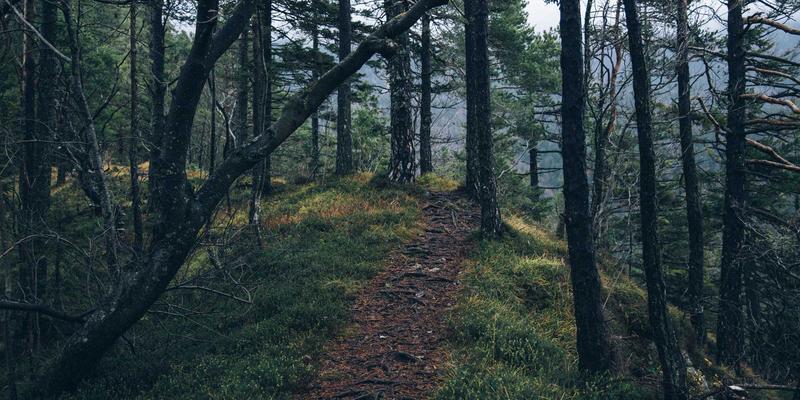 日本文化76：从社会习俗到美食精髓的深度探索