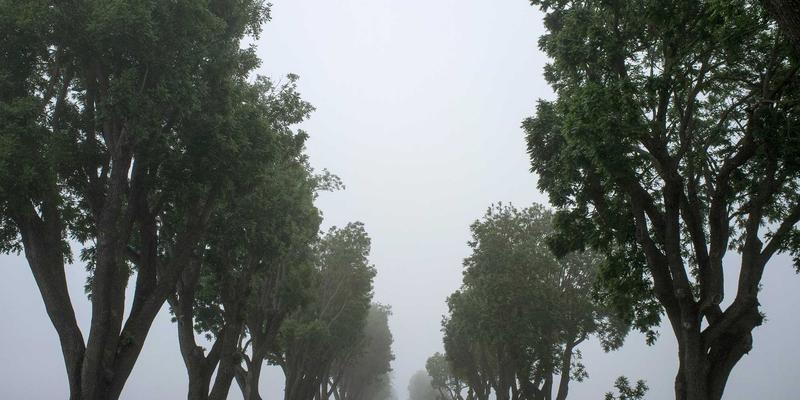 日本文化探秘：穿越传统与现代的旅行指南