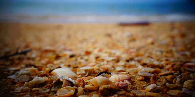 日本文化是什么?从美学内核到和风精神的深度解读