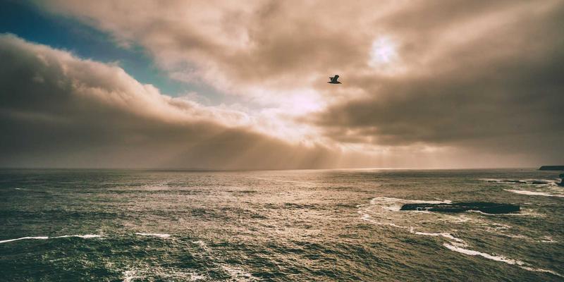 日本校园文化深度解析：从部活美学、学园祭美食到霸凌阴影下的日式生活