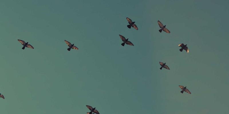 日本陶瓷艺术之旅：探寻六大古窑的工艺美学与日式生活智慧