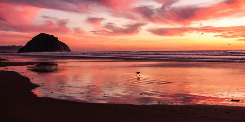 穿越千年的和风雅韵：日本旅行中不可错过的宫廷雅乐体验